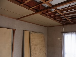 Pulling down the ceiling... wanna help?