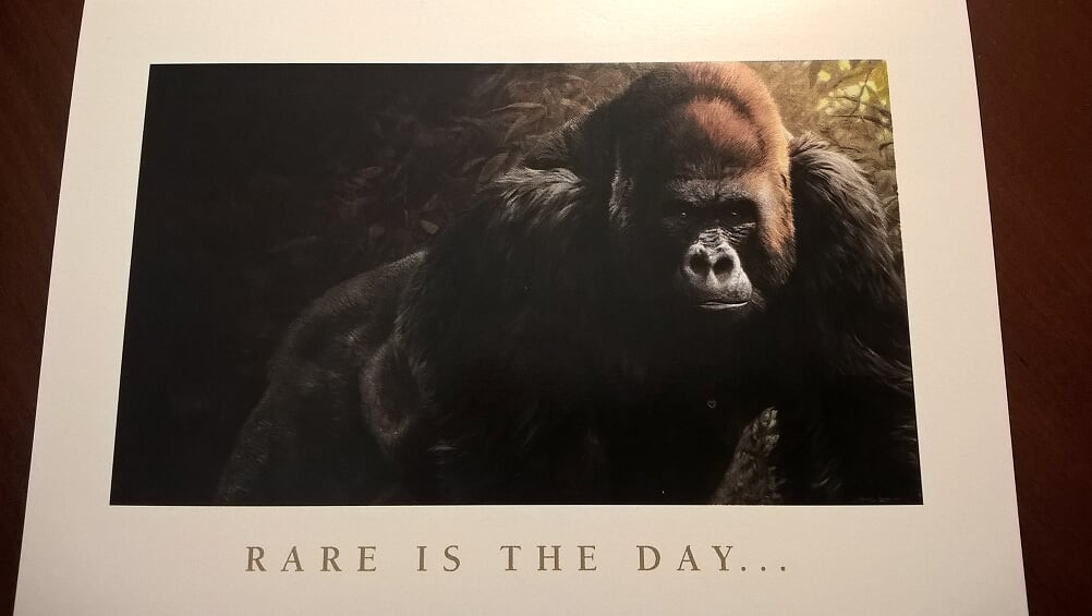 WP_20171019_16_43_33_Pro (1).jpg